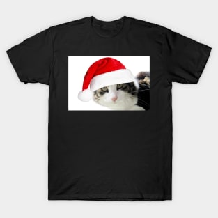 Merry Christmas Mr Tiger T-Shirt